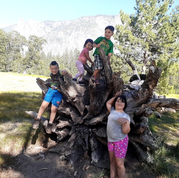 Meet your Ambassador Posher, Nancy - Picture 2 of 2